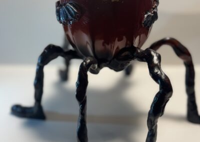 Tea Cup Spider