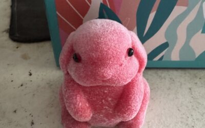 LET’S RESIN Flex Rubber for Taba Squishy Kit Review