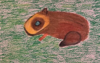 Mr. Pen Oil Pastels 45 Colors Review