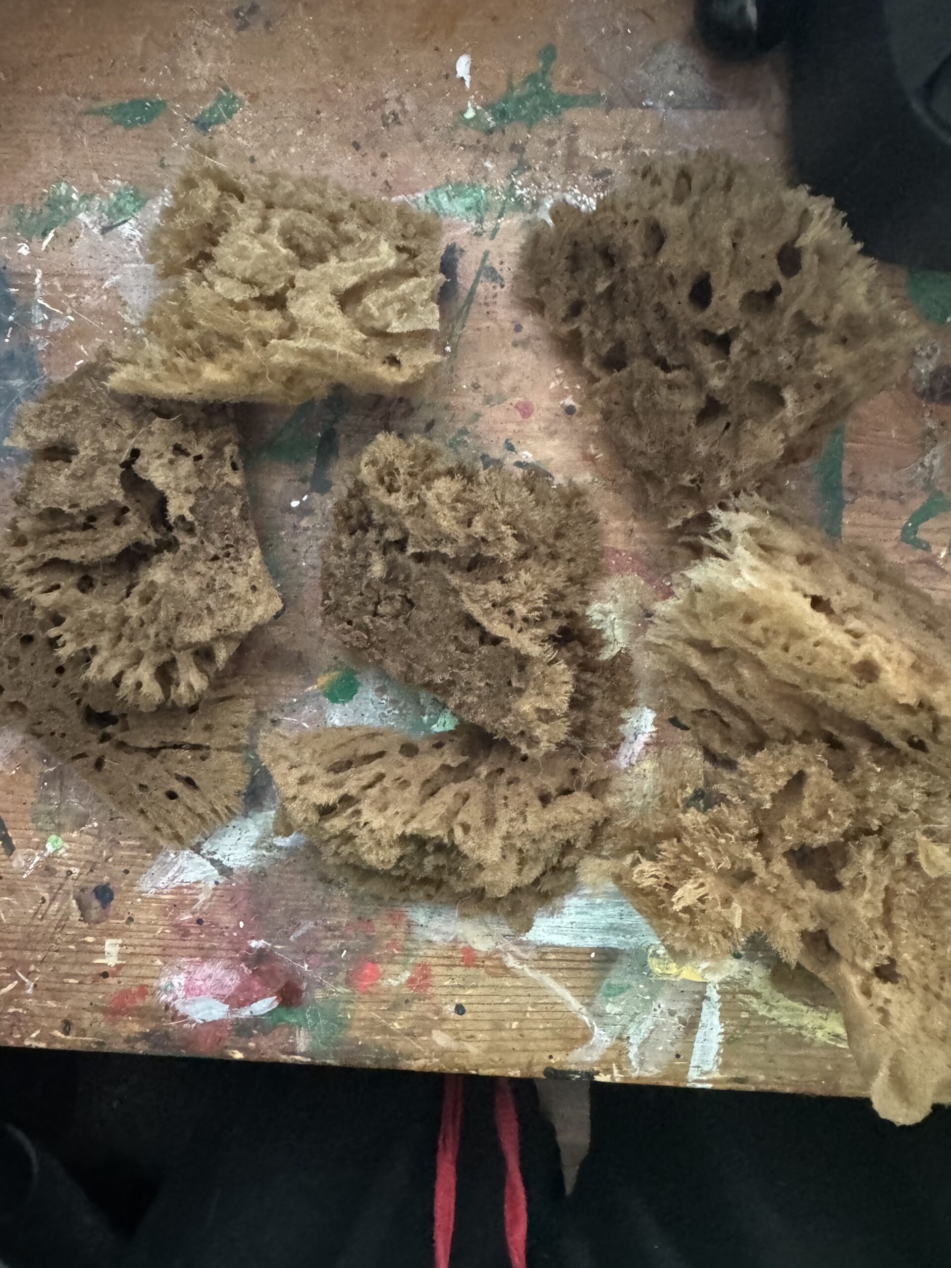 Naroa Natural Sea Sponges Review